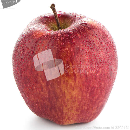 Image of Red apple