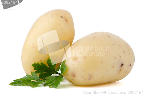 Image of New potatoes and green parsley