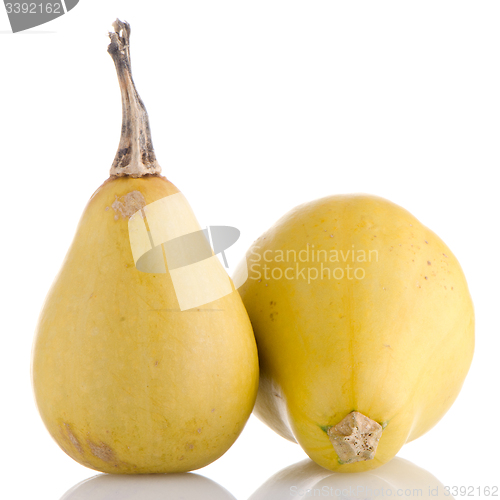 Image of Yellow pumpkins