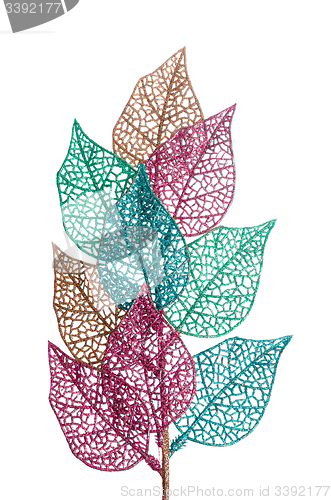 Image of Decorative leaves