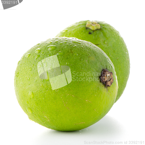 Image of Fresh green limes