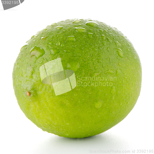 Image of Fresh green lime