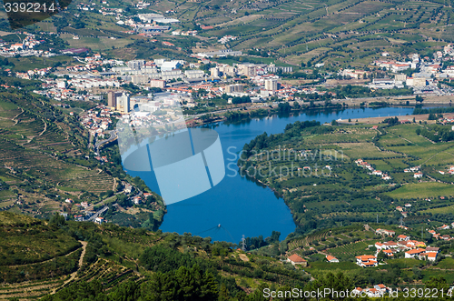 Image of vineyars in Douro Valley