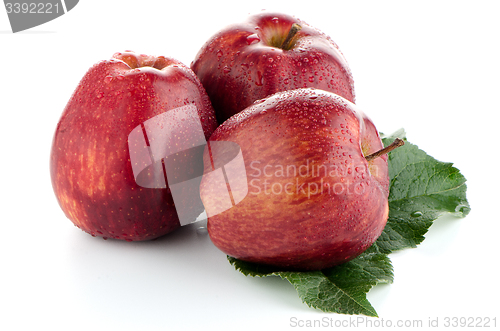 Image of Ripe red apples