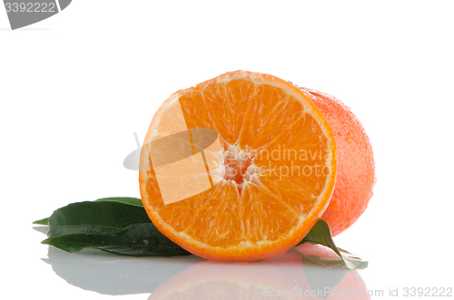 Image of Ripe tangerines or mandarin