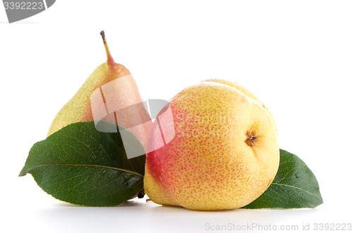 Image of Two ripe pears