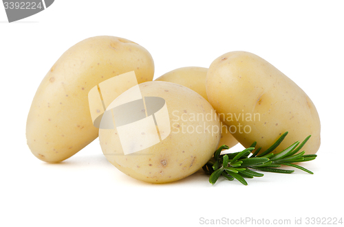 Image of New potato and green parsley