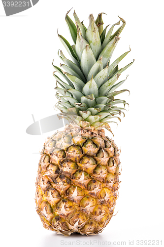 Image of Pineapple