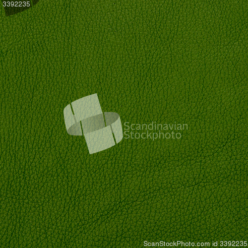 Image of Green leather texture closeup