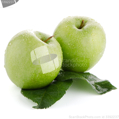 Image of Two fresh green apples