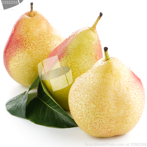 Image of Three ripe pears