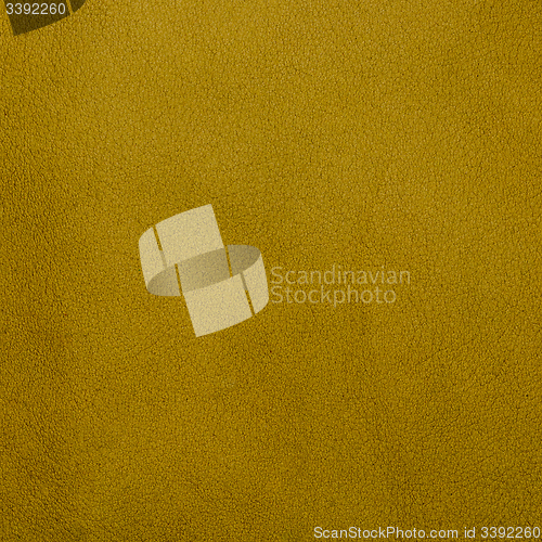 Image of Green leather texture closeup