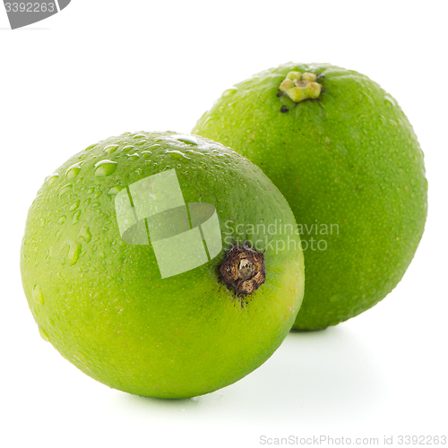 Image of Fresh green limes