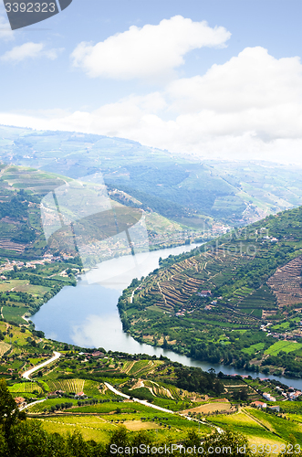 Image of vineyars in Douro Valley