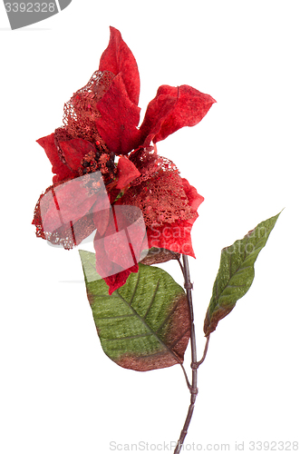 Image of Red Christmas decoration