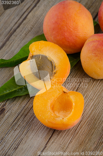 Image of Apricots with leaves