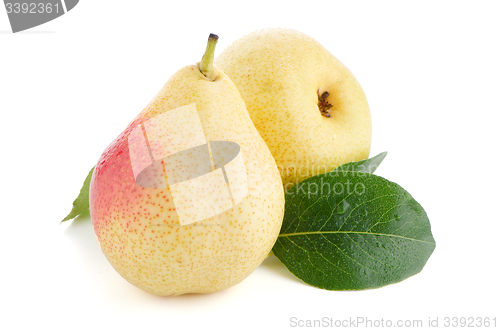 Image of Two ripe pears