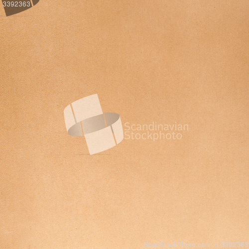 Image of Beige leather