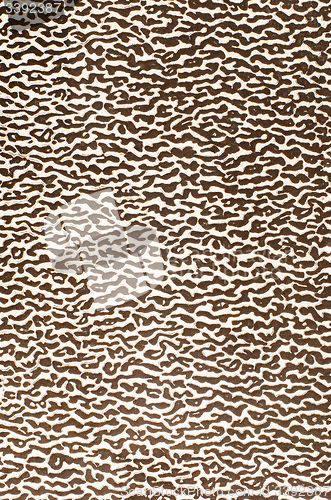 Image of Abstract leather texture 