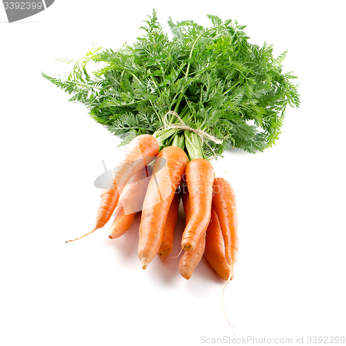 Image of Carrots