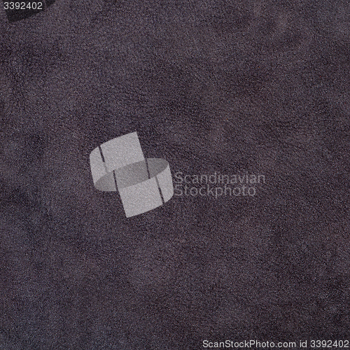Image of Purple leather