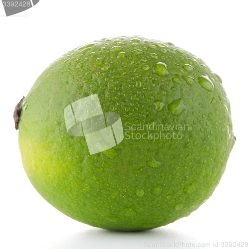 Image of Fresh green lime