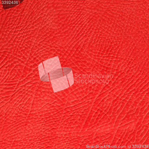 Image of Red leather 