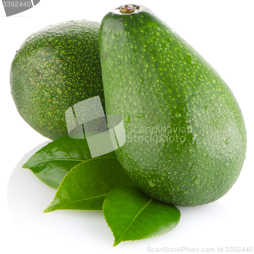 Image of Avocados on white 