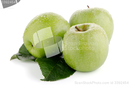 Image of Three fresh green apples