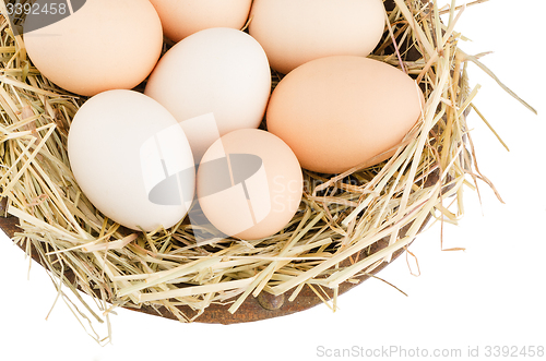 Image of Eggs closeup