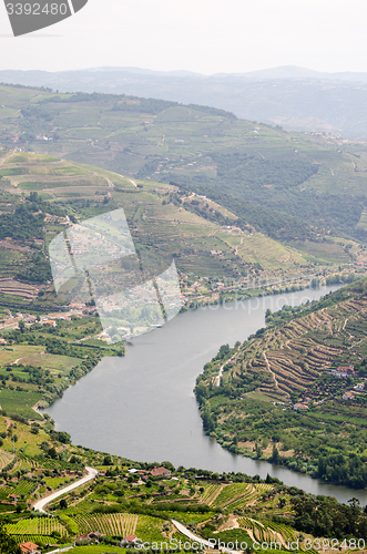 Image of vineyars in Douro Valley