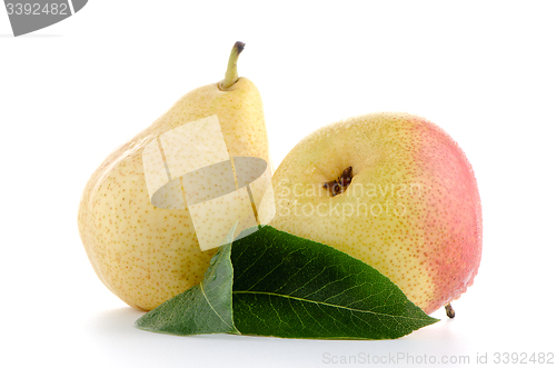 Image of Two ripe pears