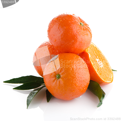 Image of Tangerines