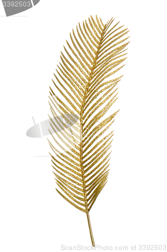 Image of Christmas decorative golden feather