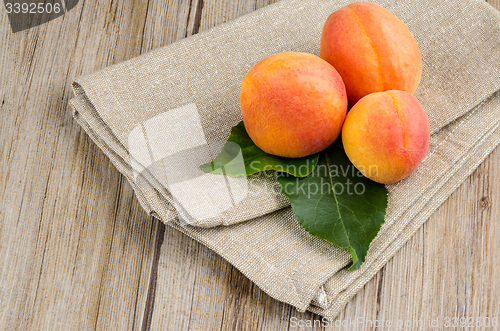 Image of Apricots with leaves