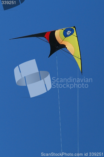 Image of Stunt-kite flying