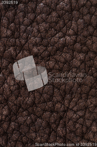 Image of Brown leather texture closeup