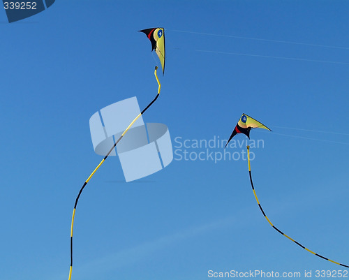 Image of Two stunt-kites