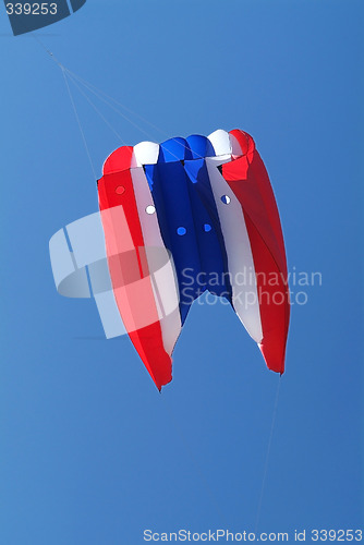 Image of Tri-colour kite