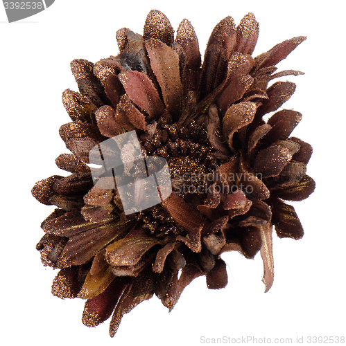 Image of Christmas decoration