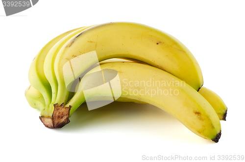 Image of Bunch of bananas