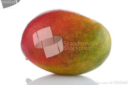 Image of Mango fruit