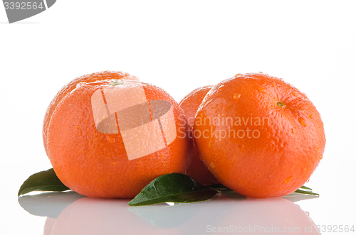 Image of Ripe tangerines or mandarin