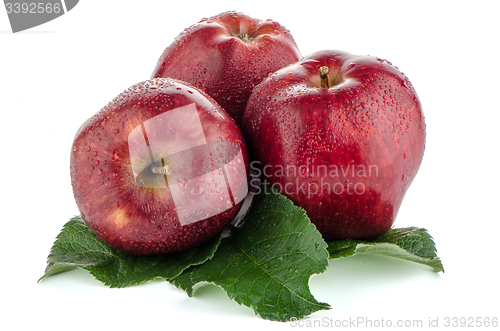 Image of Ripe red apples