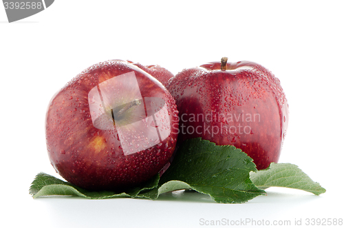 Image of Ripe red apples