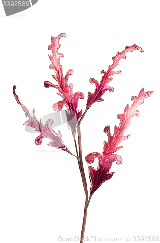 Image of Red Christmas decoration