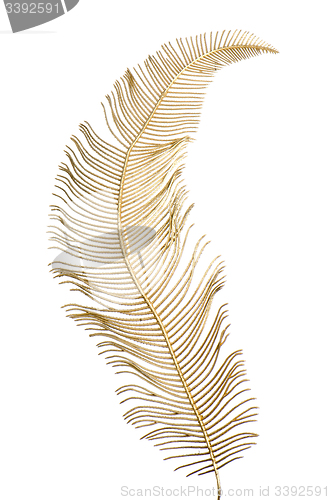 Image of Christmas decorative golden feather