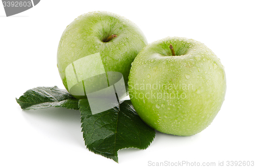 Image of Two fresh green apples