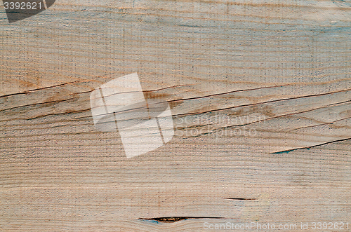 Image of Wood texture