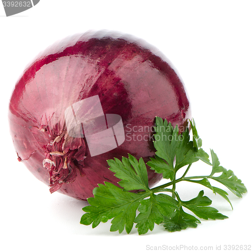 Image of Red onion tuber and fresh parsley